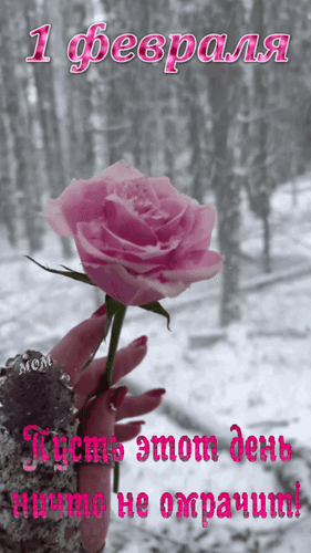 Открытка 1 февраля Пусть этот день ничто не омрачит!