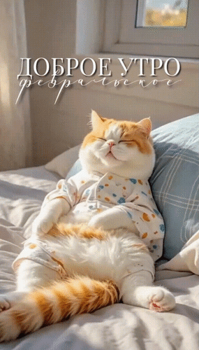 Анимированная открытка Доброе утро февральское!