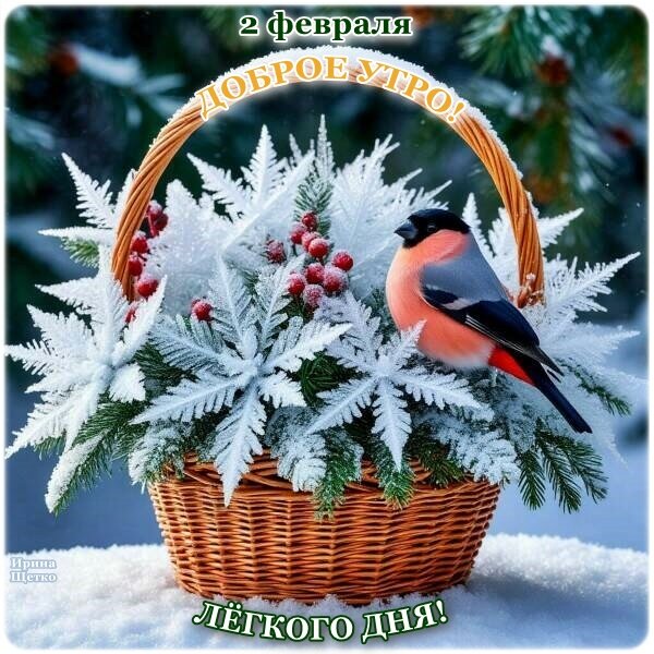 Открытка ДОБРОЕ УТРО!