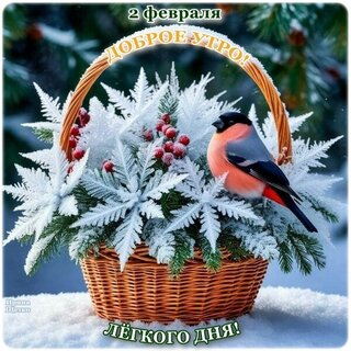 dobroe-utro.jpg?z=32