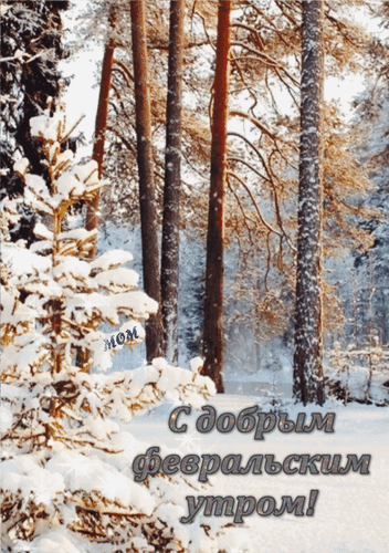 Анимированная открытка С добрым февральским утром!