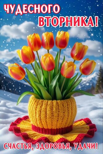 Открытка ЧУДЕСНОГО ВТОРНИКА! СЧАСТЬЯ, ЗДОРОВЬЯ, УДАЧИ!