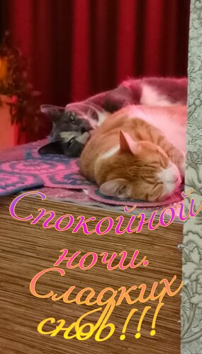 Открытка Спокойной ночи, сладких снов
