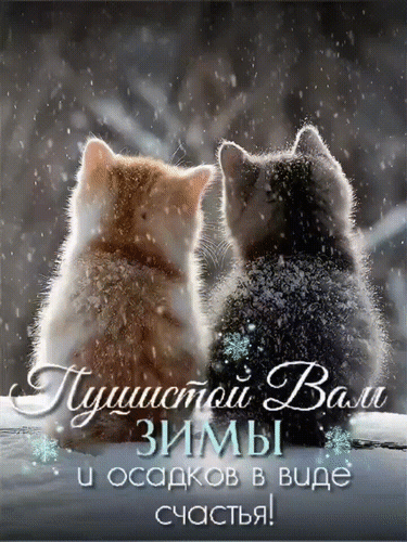 Анимированная открытка Пушистой вам зимы и осадков в виде счастья!