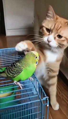 Анимированная открытка нет текста