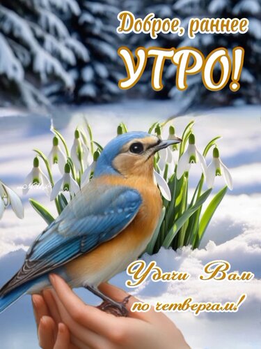 Открытка Доброе, раннее утро!