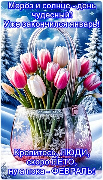 Открытка МОРОЗ И СОЛНЦЕ, ДЕНЬ ЧУДЕСНЫЙ!