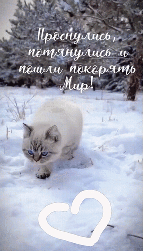 Анимированная открытка Проснулись, потянулись и пошли покорять Мир!