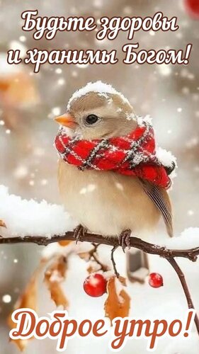 Открытка Доброе утро