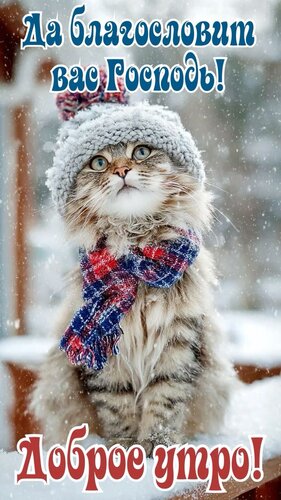 Открытка Доброе утро