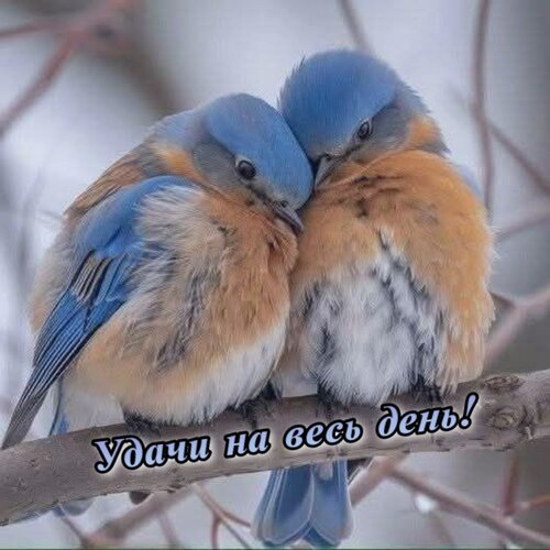 Открытка Удачи на весь день!