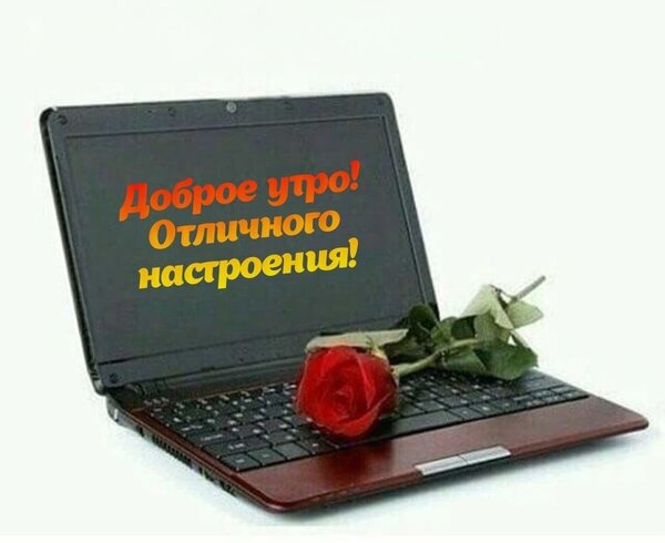 Открытка Доброе утро! Отличного настроения!