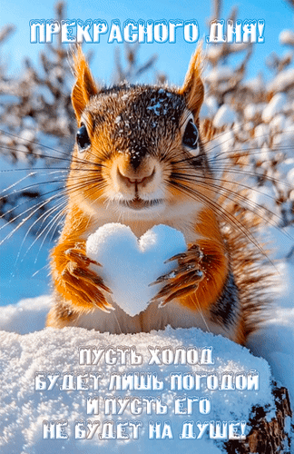 Анимированная открытка Прекрасного дня! Пусть холод будет лишь погодой и пусть его не будет на душе!