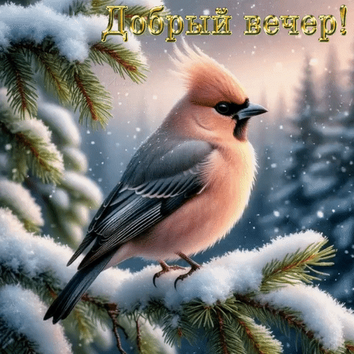 Анимированная открытка Добрый вечер!