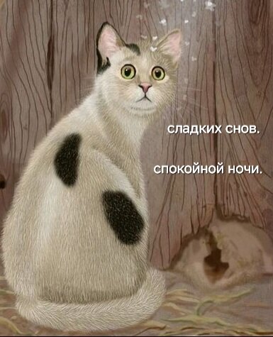 Открытка Сладких снов. Спокойной ночи