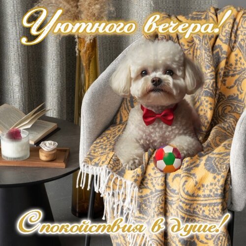 Открытка Уютного вечере!