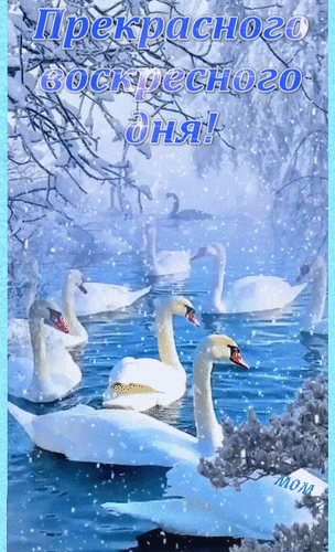 Анимированная открытка Прекрасного воскресного дня!