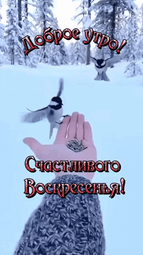 Открытка Доброго утра! Счастливого воскресенья! Какое счастье - воскресенье! Душе - покой и расслабленье! Ты