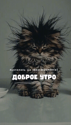 Анимированная открытка Доброе утро. Выспалась до неузнаваемости!