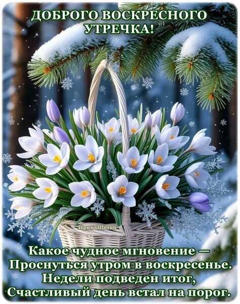 Открытка ДОБРОГО УТРА!