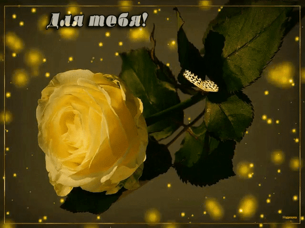 Анимированная открытка Для тебя