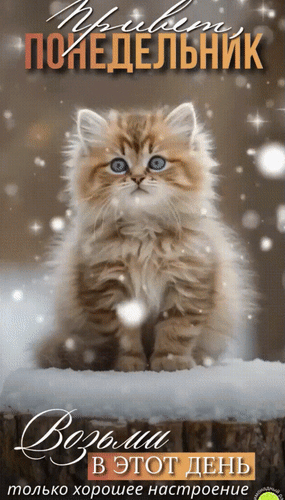 Анимированная открытка Привет, понедельник! Возьми в этот день только хорошее настроение.