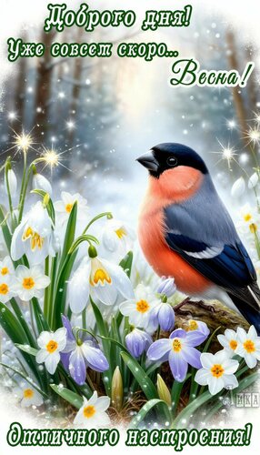 Открытка Добрый день