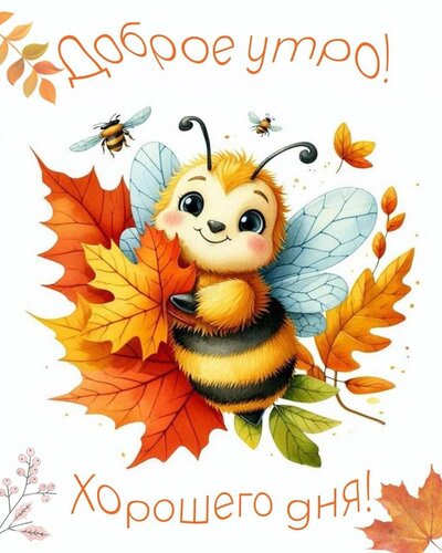 Открытка Доброе утро