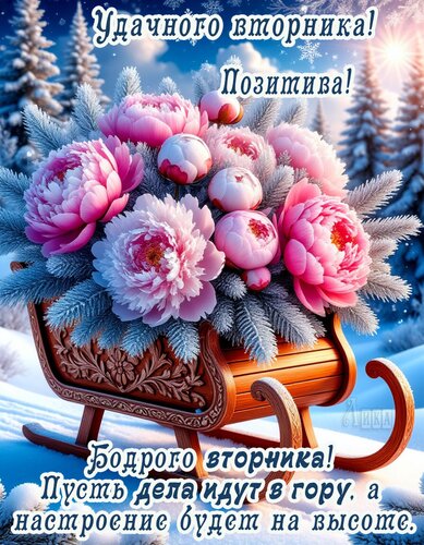 Открытка Вторник