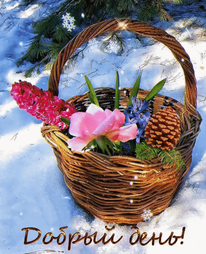 Анимированная открытка Добрый день!