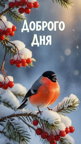 Открытка Доброго дня.