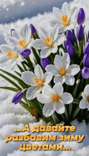 Открытка ... А давайте разбавим зиму цветами...