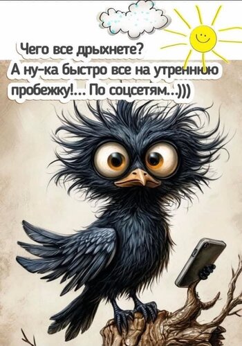 Открытка все на утреннюю пробежку