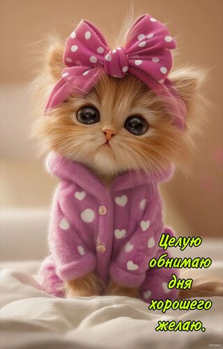 Открытка целую обнимаю дня хорошего желаю