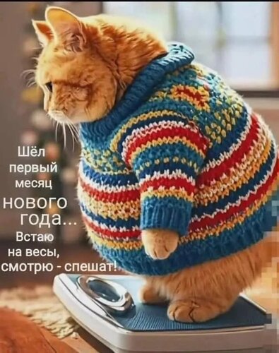 Открытка шел первый месяц нового года