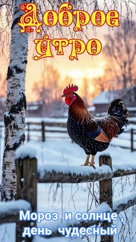 Открытка Доброе утро