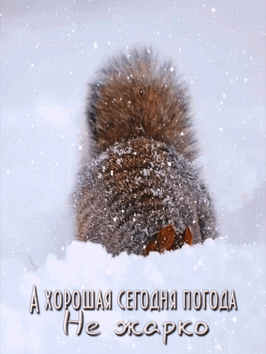 Анимированная открытка А хорошая сегодня погода... Не жарко