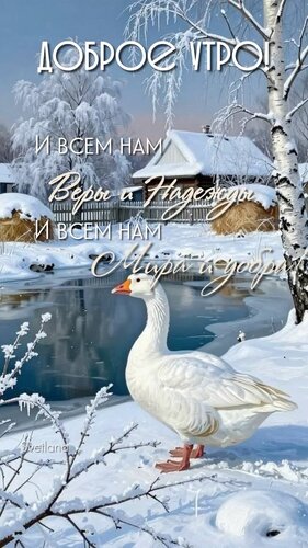 Открытка доброе утро