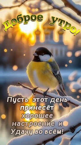 Открытка Доброе утро