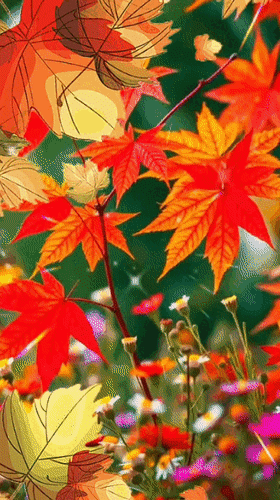 Анимированная открытка Доброе утро! Поздравляю вас с понедельником! Пусть это утро разбудит вас приятной новостью!