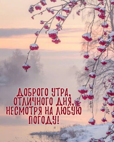 Открытка Доброго утра, отличного дня, несмотря на любую погоду!