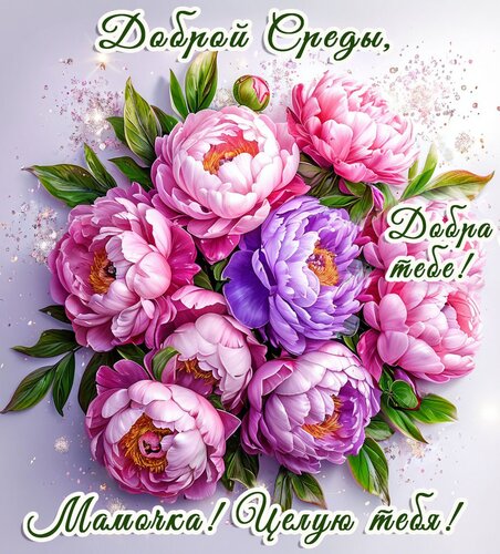 Открытка Доброй среды, мама