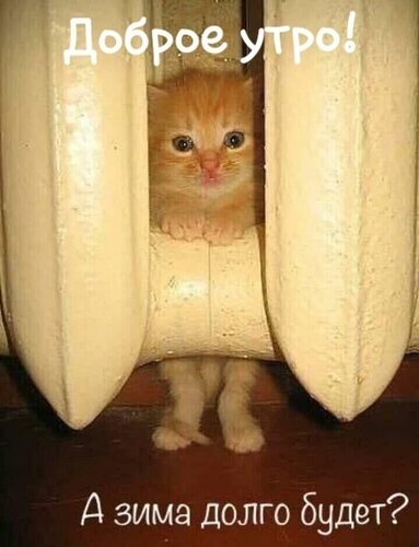 Открытка А зима долго будет