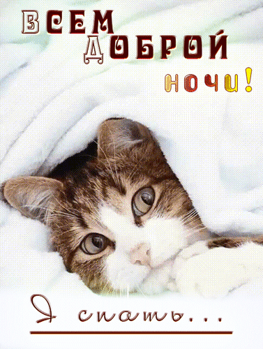 Анимированная открытка Всем доброй ночи! Я спать...
