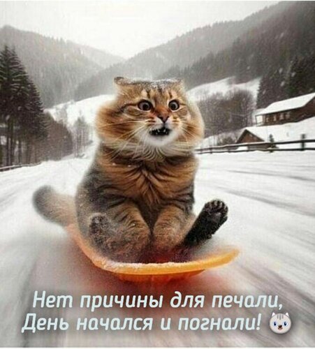 Открытка Нет причины для печали