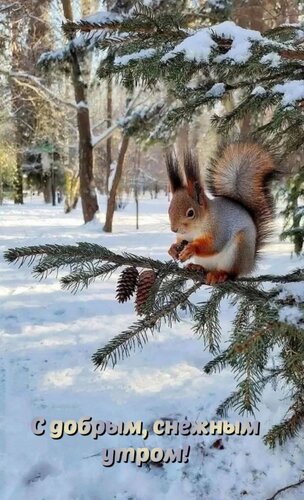 Открытка С добрым снежным утром!