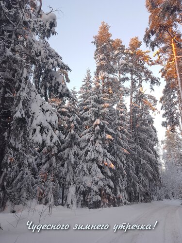 Открытка Чудесного зимнего утречка!