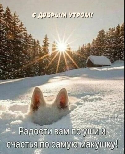 Открытка С добрым утром!