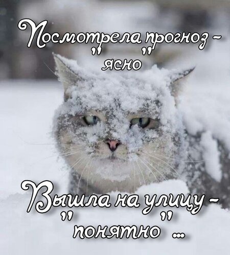 Открытка посмотрела прогноз ясно