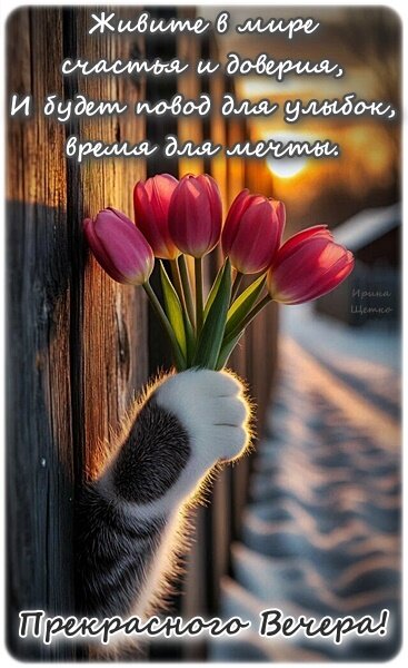 Открытка ДОБРЫЙ ВЕЧЕР!